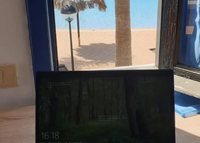 With Terrace & Palm Trees 25mb Wifi