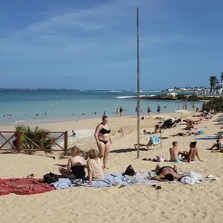 With Terrace & Palm Trees 25mb Wifi Appartamento